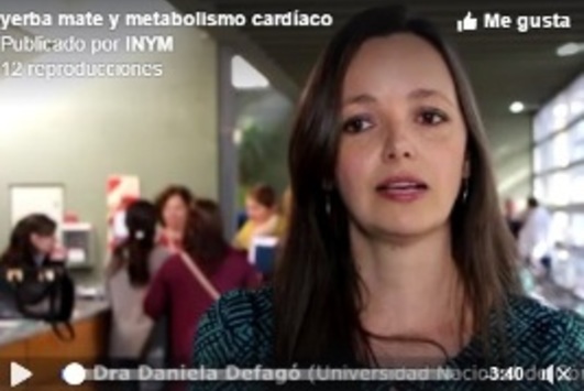 Image of Investigan si el consumo de yerba mate puede mejorar el metabolismo cardíaco