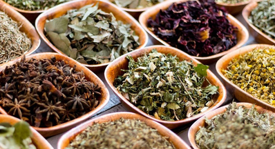 Image of The most delicious herbs for the mate