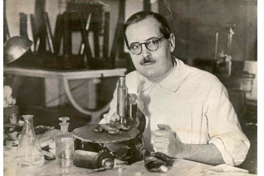 Imagen de Houssay fue el primero en estudiar los efectos de la Yerba Mate en la salud